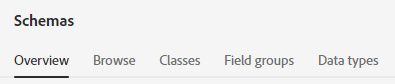 the schemas menu shows tabs: overview, browse, classes, field groups, data types